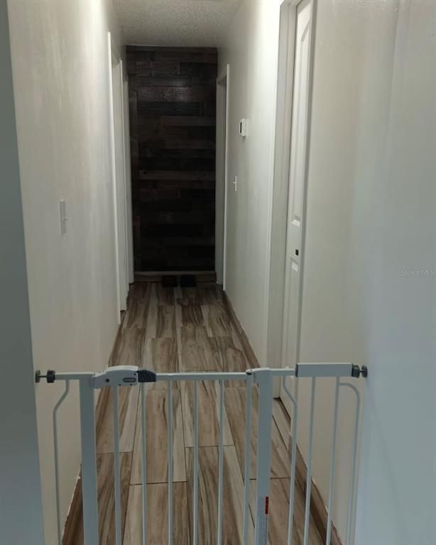 Interior, Wood Texture Flooring, Wooden Walls