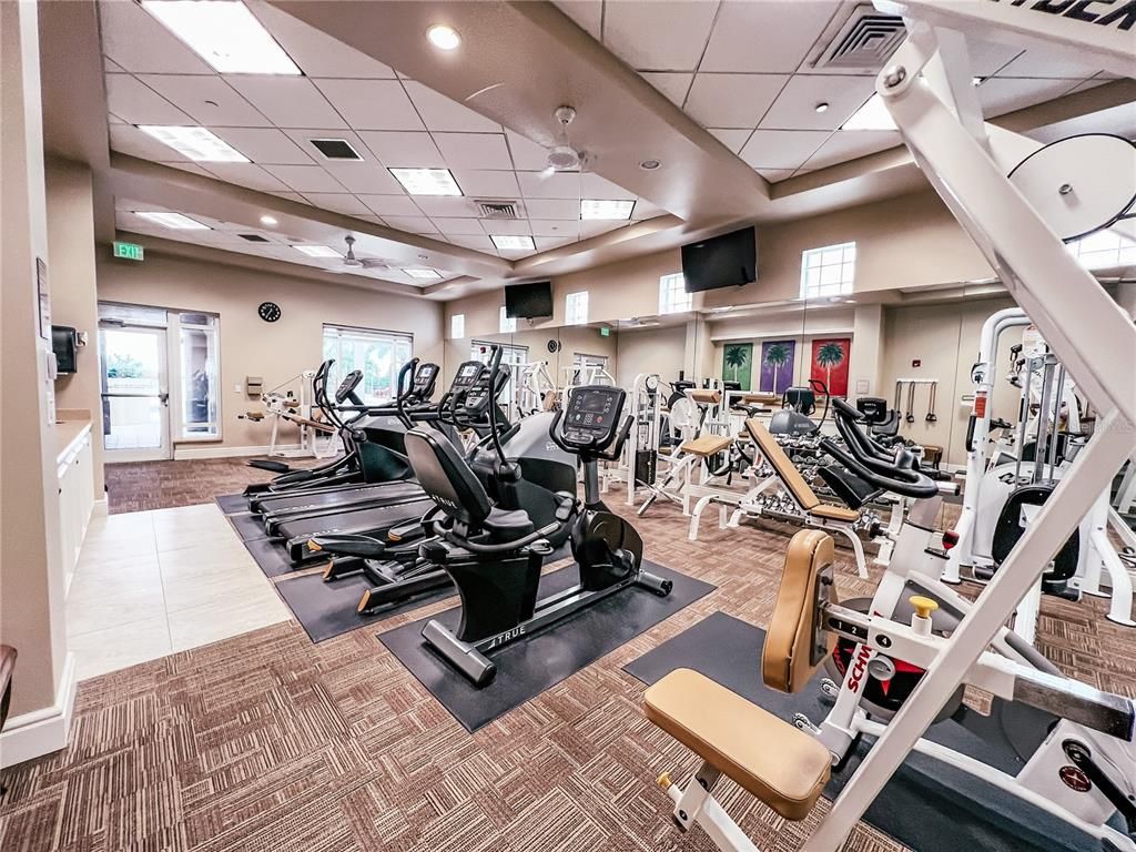 Fitness Equipment, Gym, Interior, Recessed Lighting