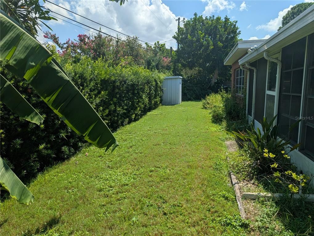 Backyard, Exterior