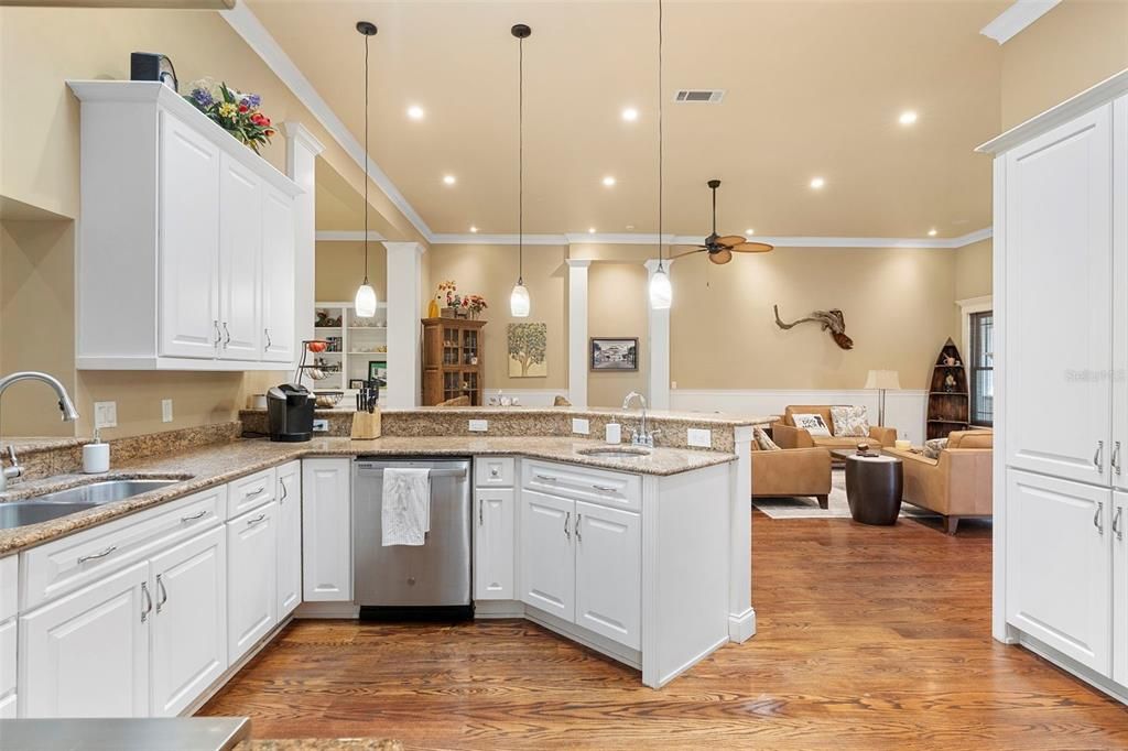 Interior, Kitchen, Living room, Pendant Lights, Recessed Lighting, Wood Texture Flooring
