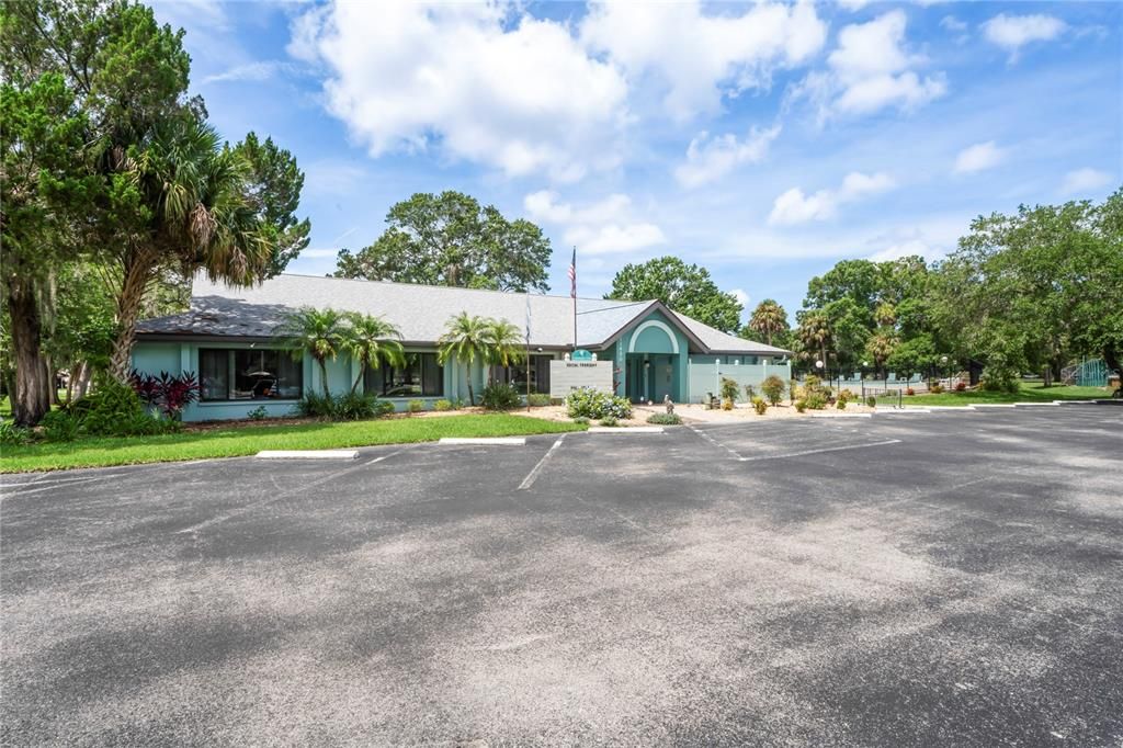 Backyard, Exterior, Facade, Ranch