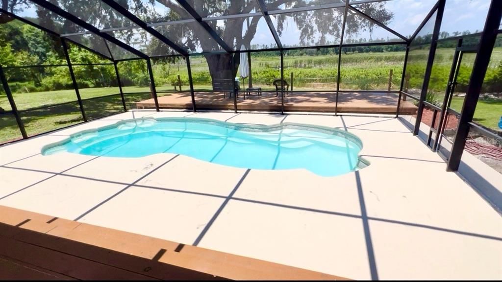 Glass Ceilings, Interior, Pool, Sun Room