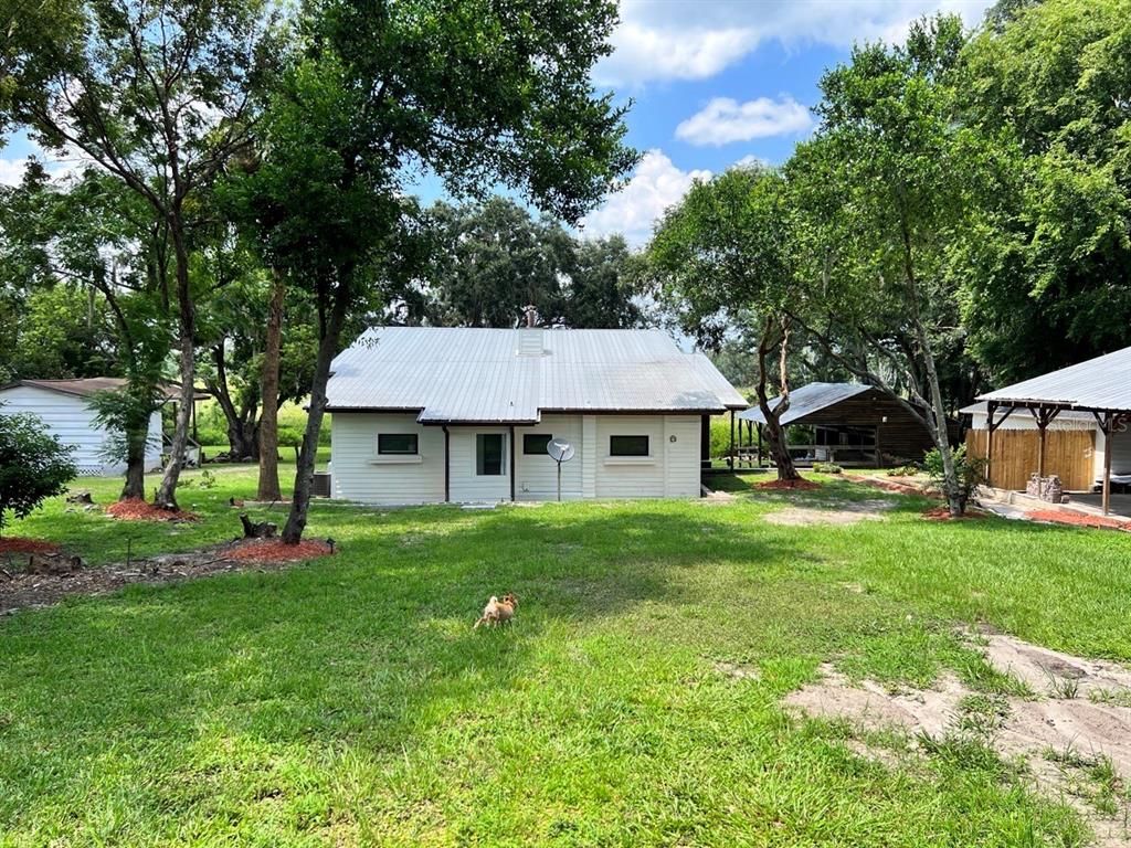 Backyard, Exterior