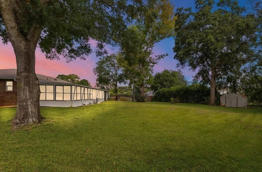 Backyard, Exterior
