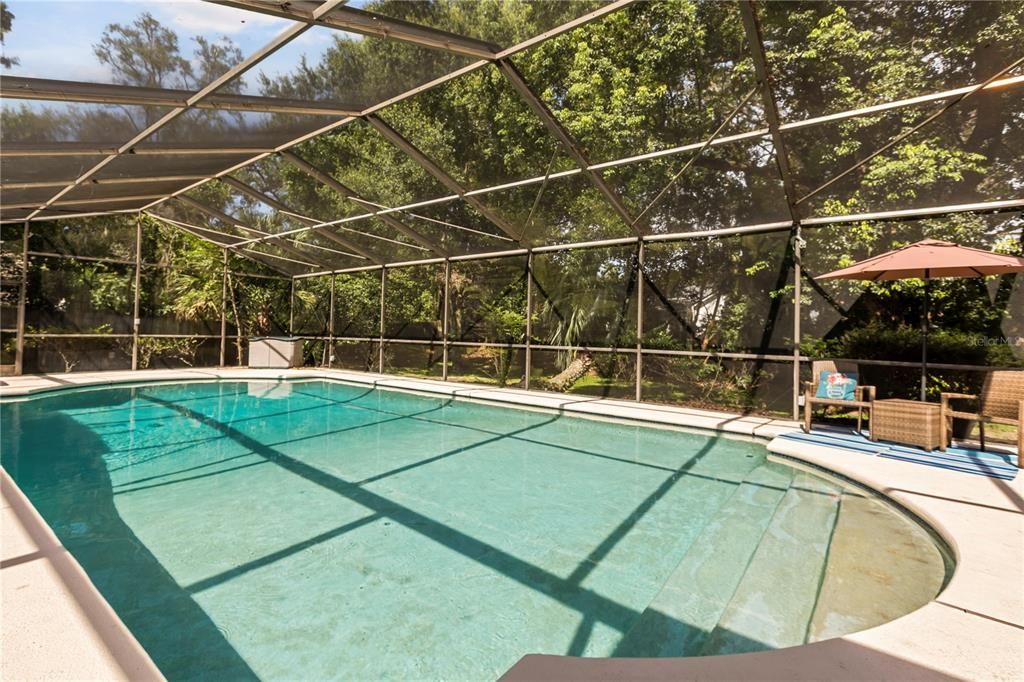 Glass Ceilings, Interior, Pool, Sun Room