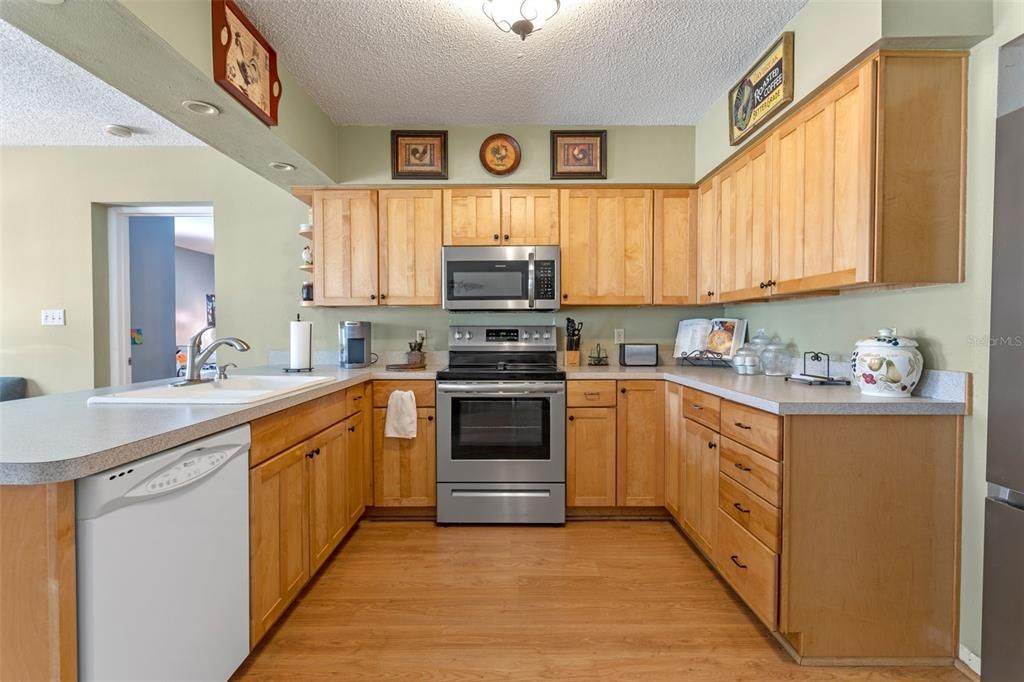 Interior, Kitchen, Stainless Steel Appliances, Wood Texture Flooring