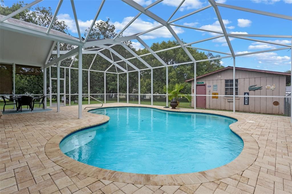 Glass Ceilings, Interior, Pool, Sun Room