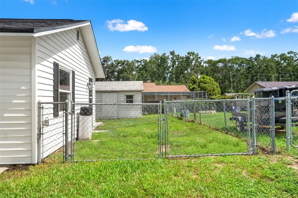 Backyard, Exterior