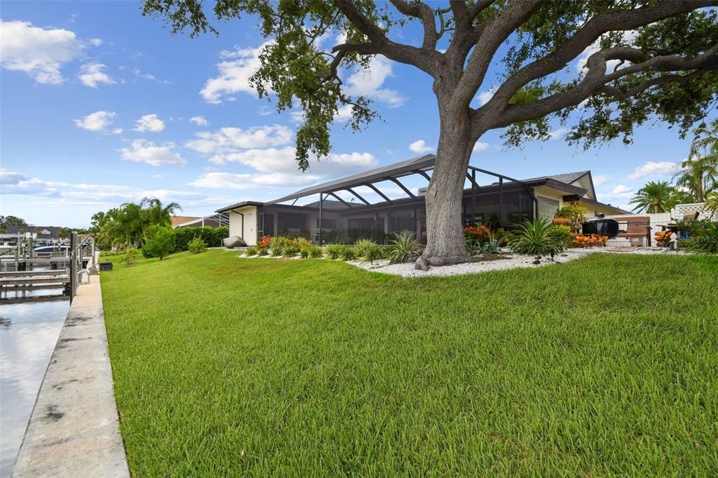 Backyard, Exterior