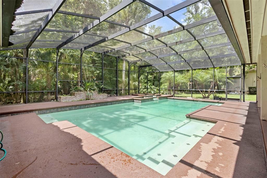 Glass Ceilings, Interior, Pool, Sun Room