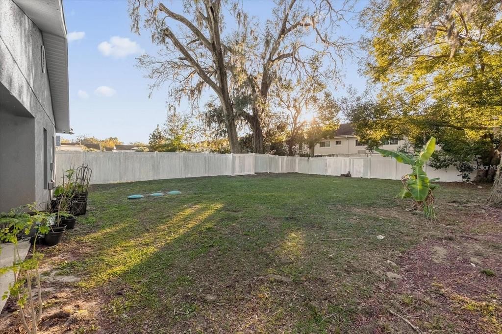 Backyard, Exterior