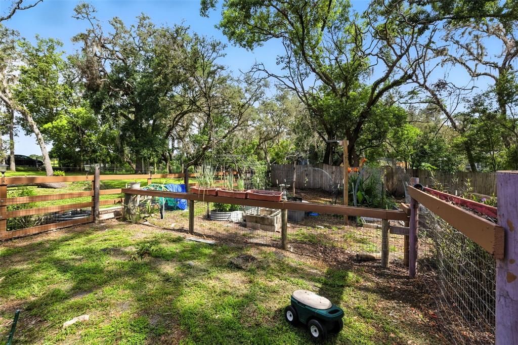 Backyard, Exterior, Playground