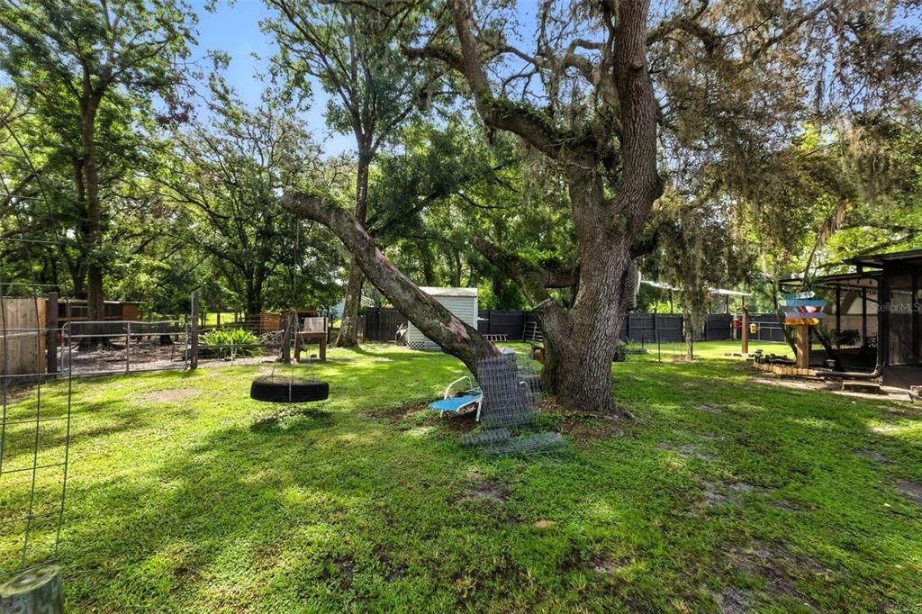 Backyard, Exterior
