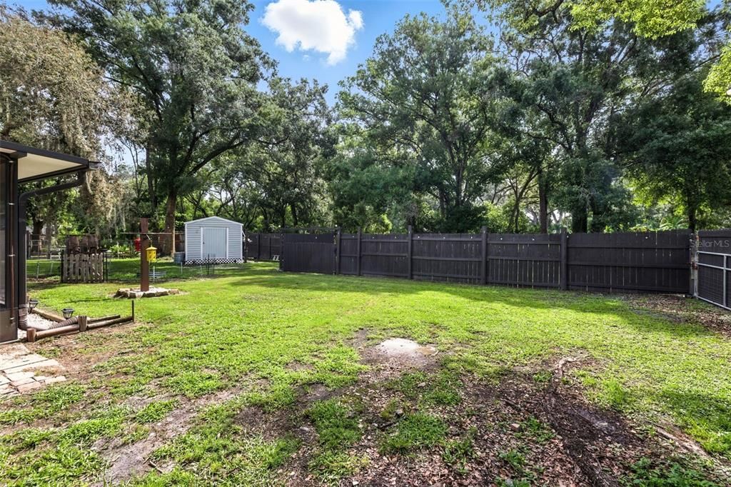 Backyard, Exterior