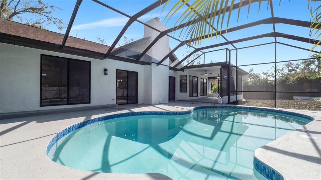Glass Ceilings, Interior, Pool, Sun Room