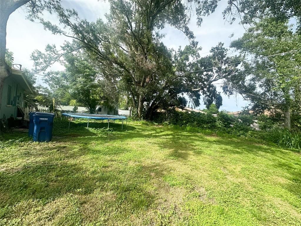 Backyard, Exterior, Playground