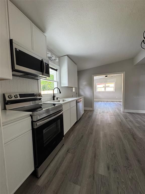 Interior, Kitchen, Stainless Steel Appliances, Wood Texture Flooring