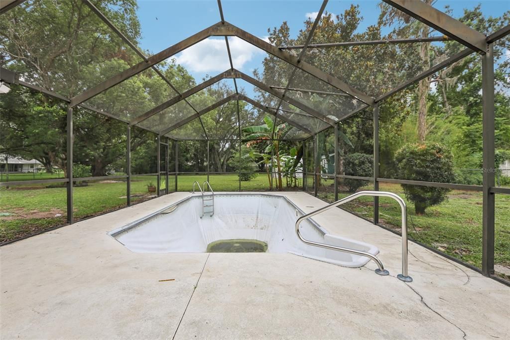 Glass Ceilings, Interior, Pool, Sun Room