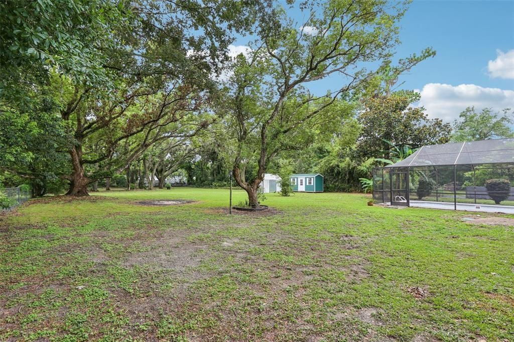 Backyard, Exterior