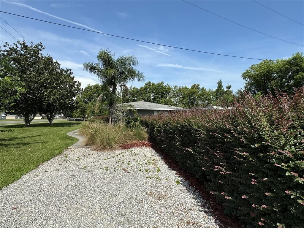 Backyard, Exterior