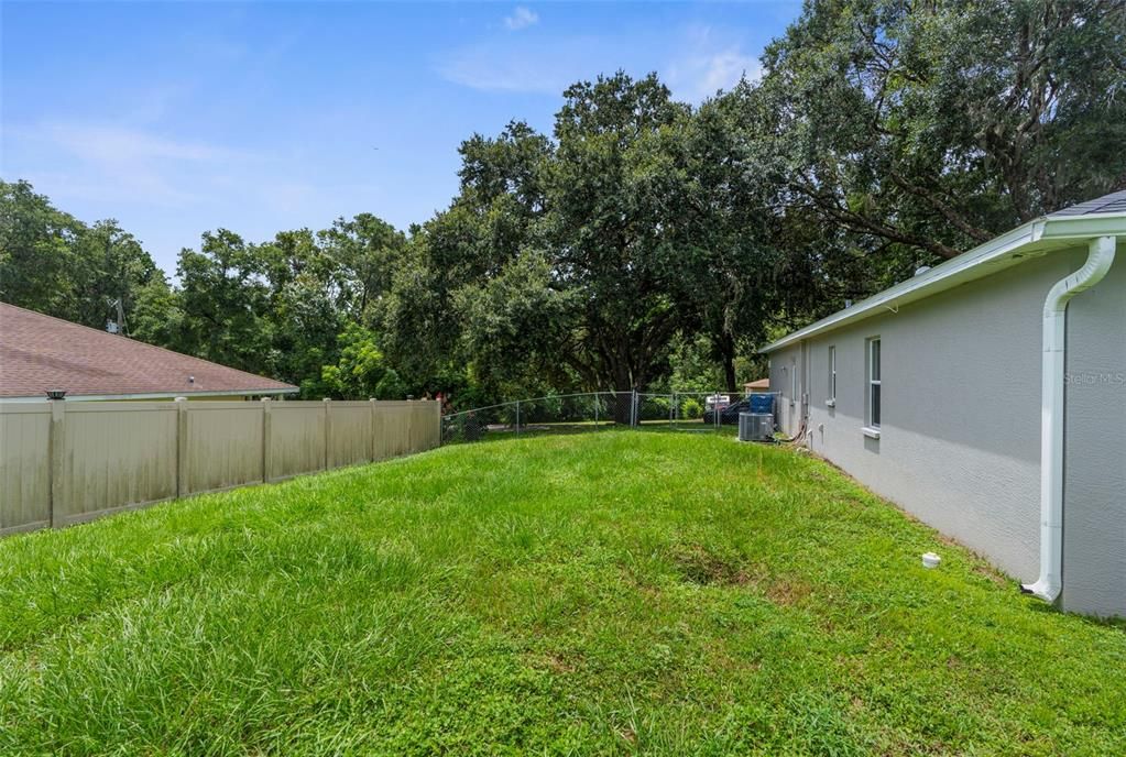 Backyard, Exterior