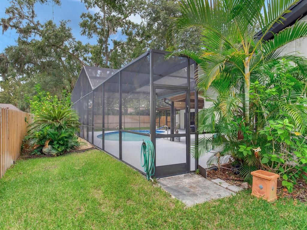 Backyard, Exterior, Pool