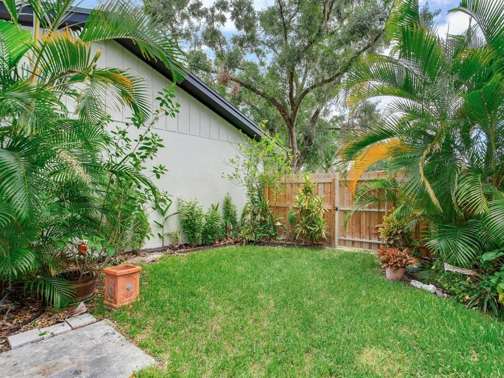 Backyard, Exterior