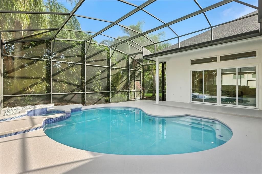 Glass Ceilings, Interior, Pool, Sun Room