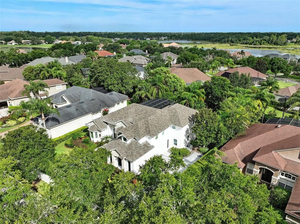 Exterior, Drone