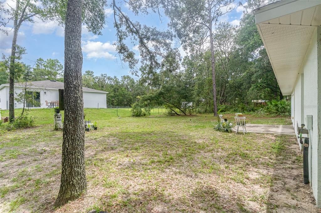 Backyard, Exterior