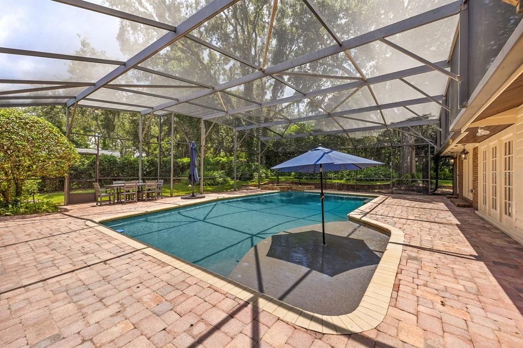 Glass Ceilings, Interior, Pool, Sun Room