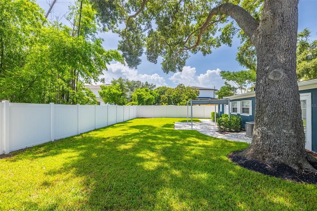 Backyard, Exterior