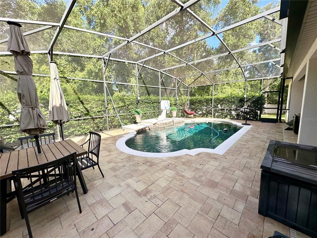 Glass Ceilings, Interior, Pool, Sun Room