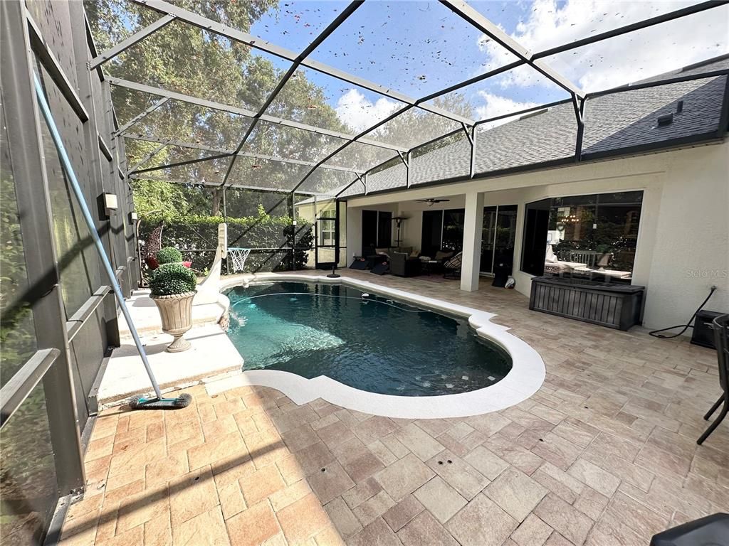 Glass Ceilings, Interior, Pool, Sun Room