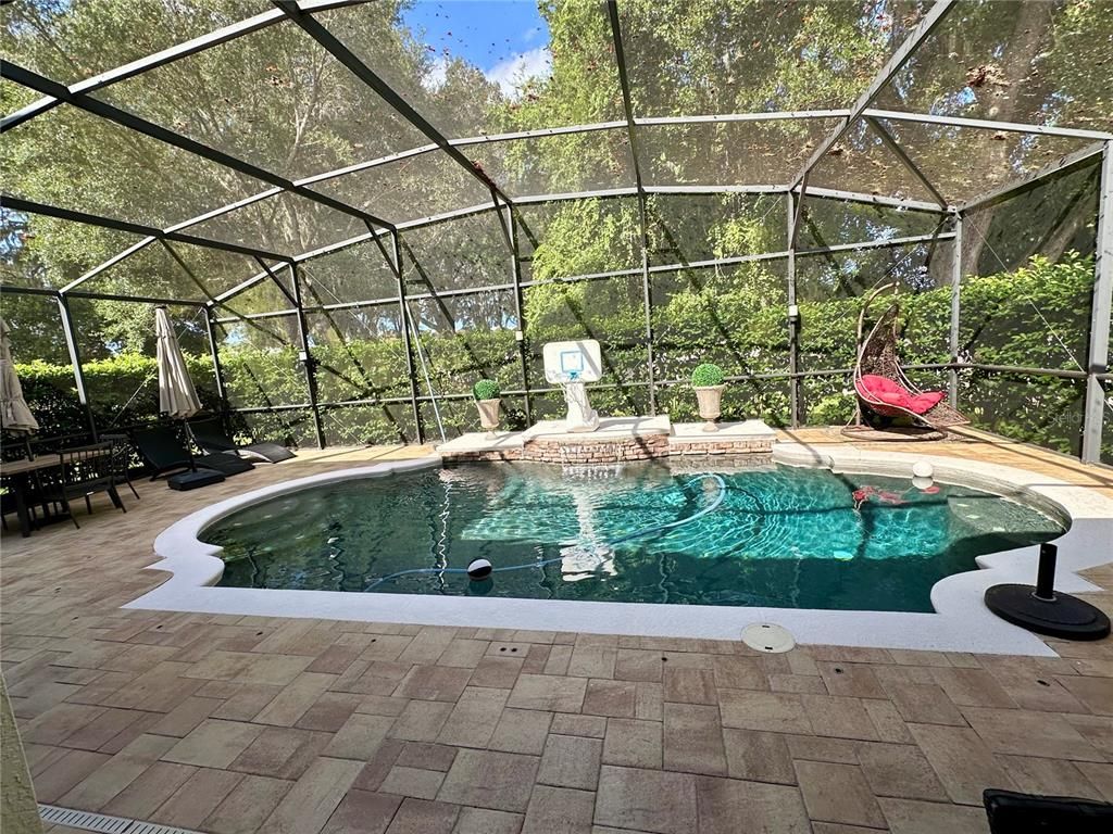 Glass Ceilings, Interior, Pool, Sun Room