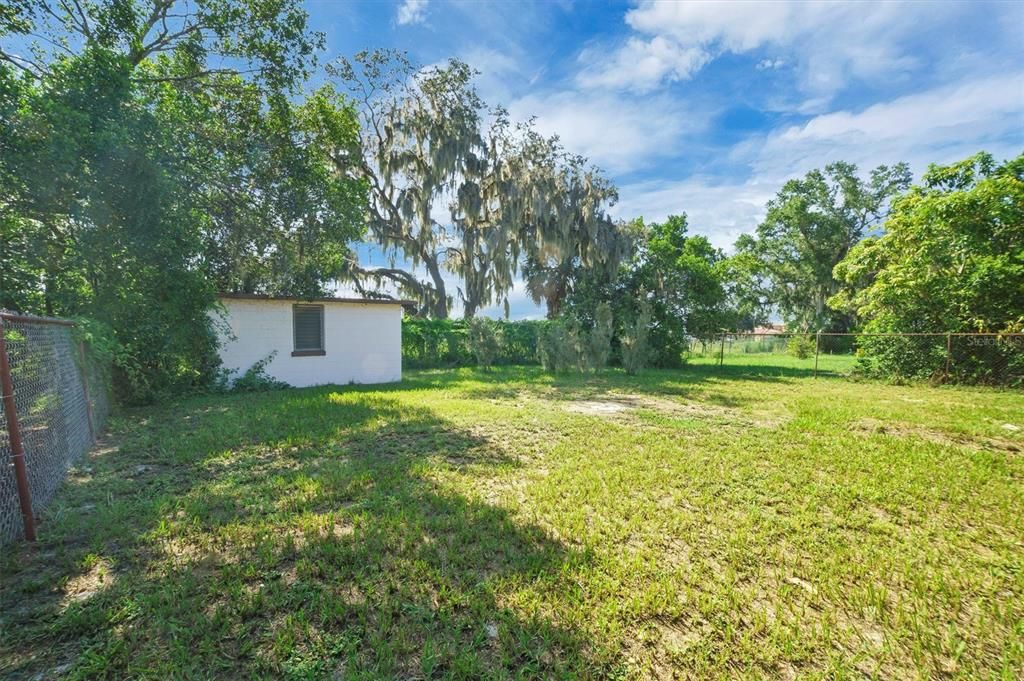 Backyard, Exterior