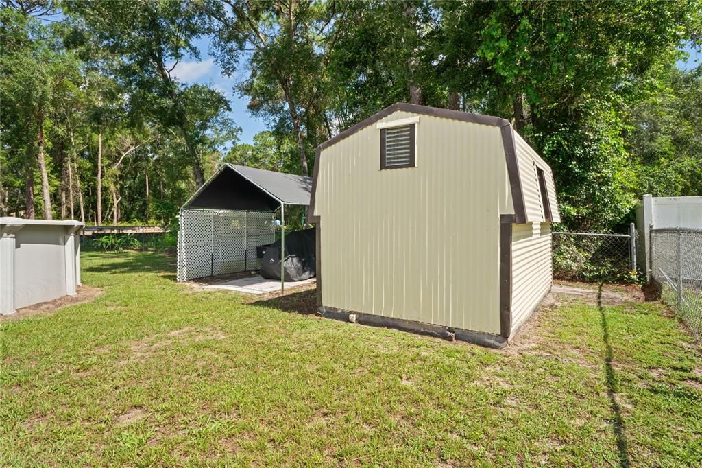 Backyard, Exterior