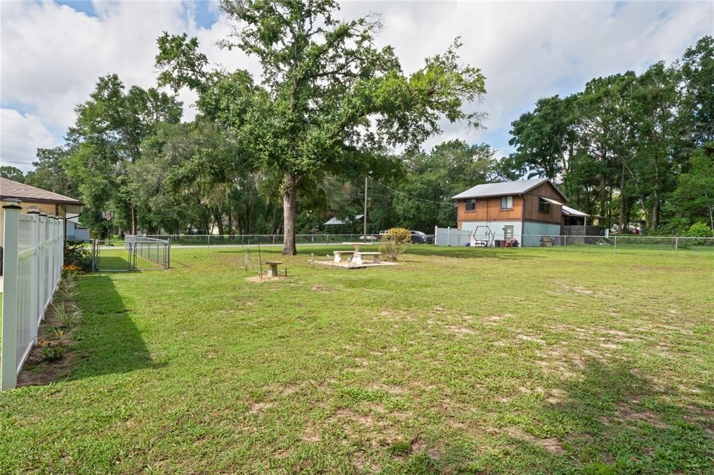 Backyard, Exterior
