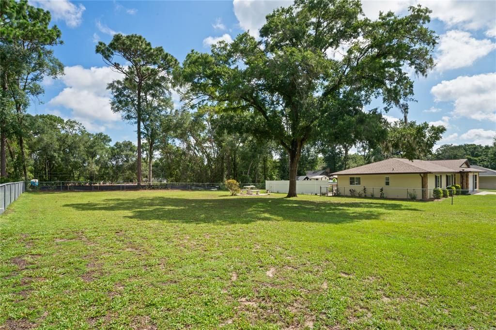Backyard, Exterior