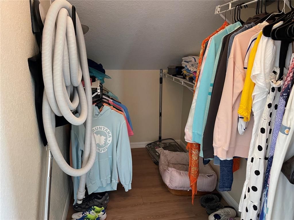Interior, Walk-in Closets, Wood Texture Flooring