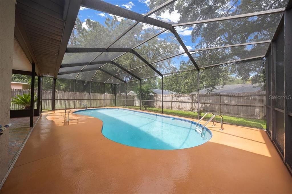 Glass Ceilings, Interior, Pool, Sun Room