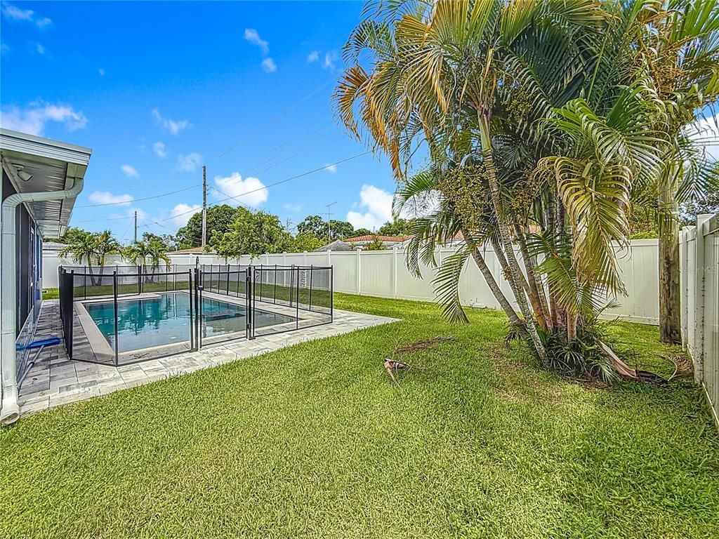 Backyard, Exterior, Pool