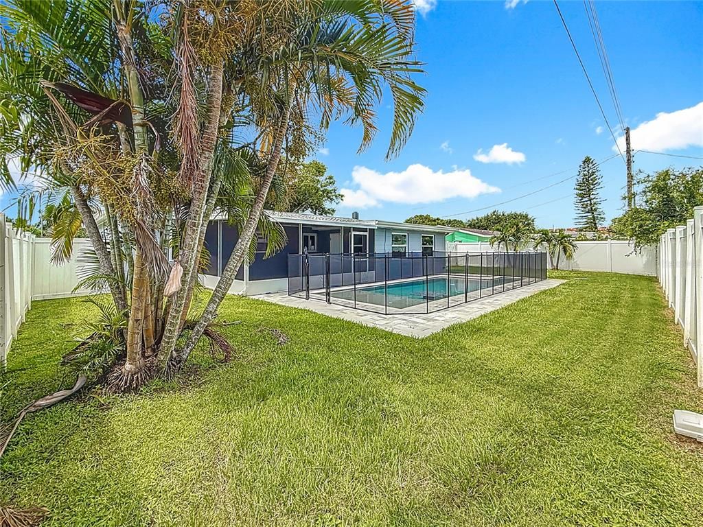 Backyard, Exterior, Pool