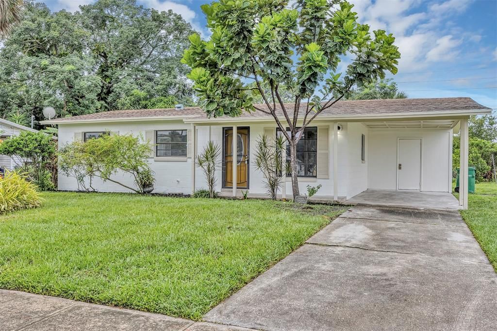 Backyard, Exterior, Facade, Ranch