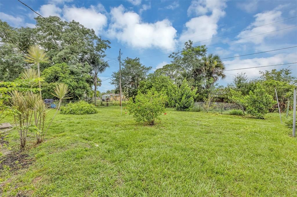 Backyard, Exterior