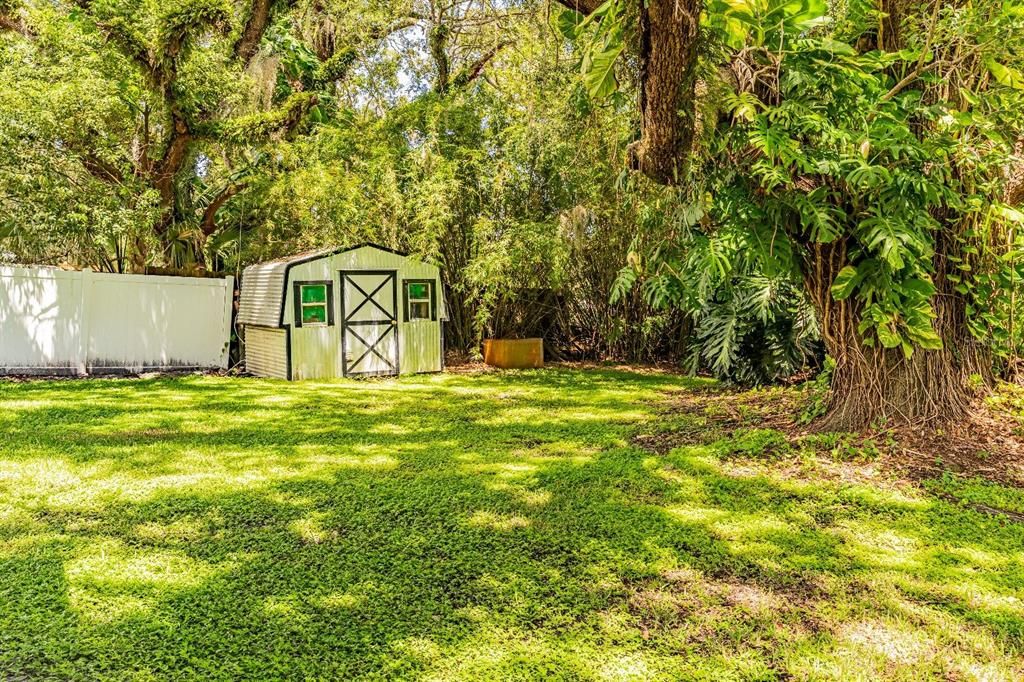 Backyard, Exterior
