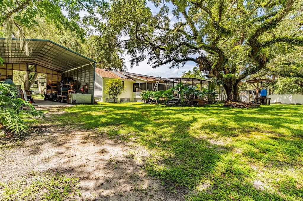 Backyard, Exterior