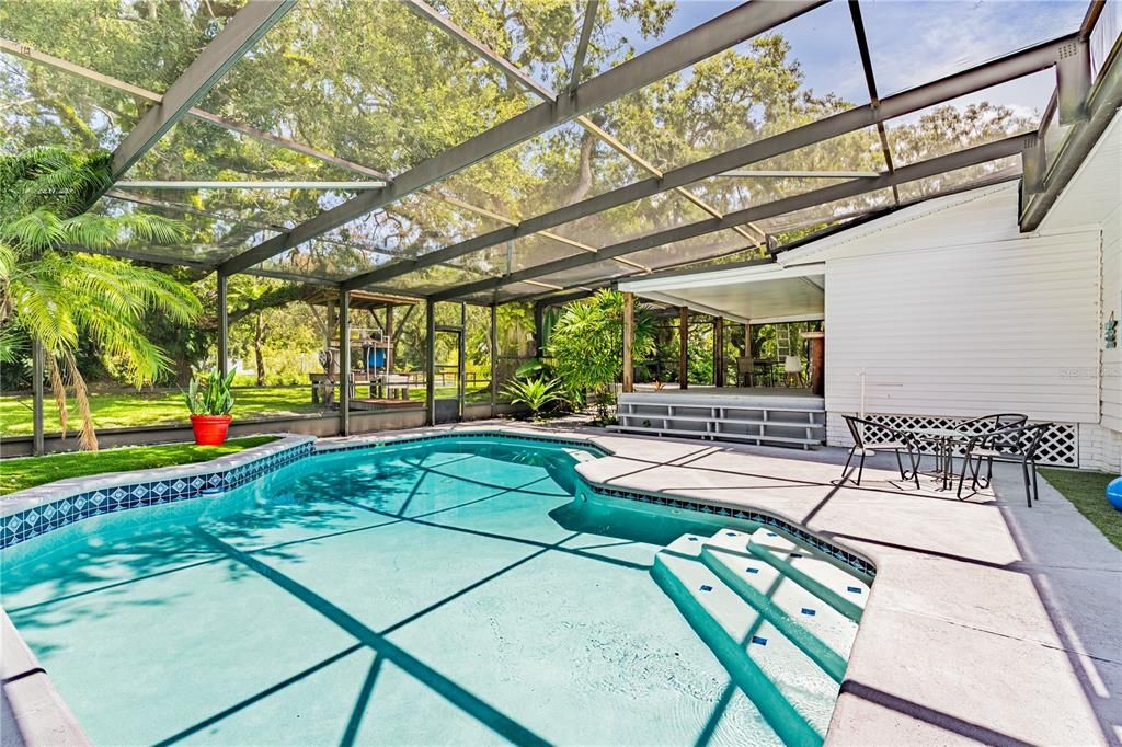 Glass Ceilings, Interior, Pool, Sun Room