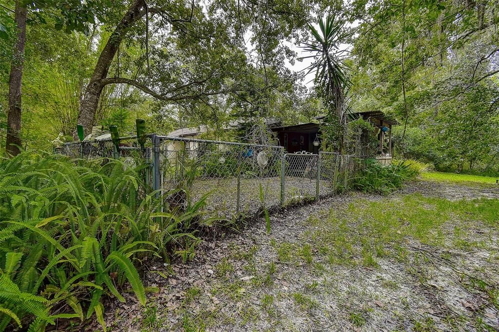 Backyard, Exterior