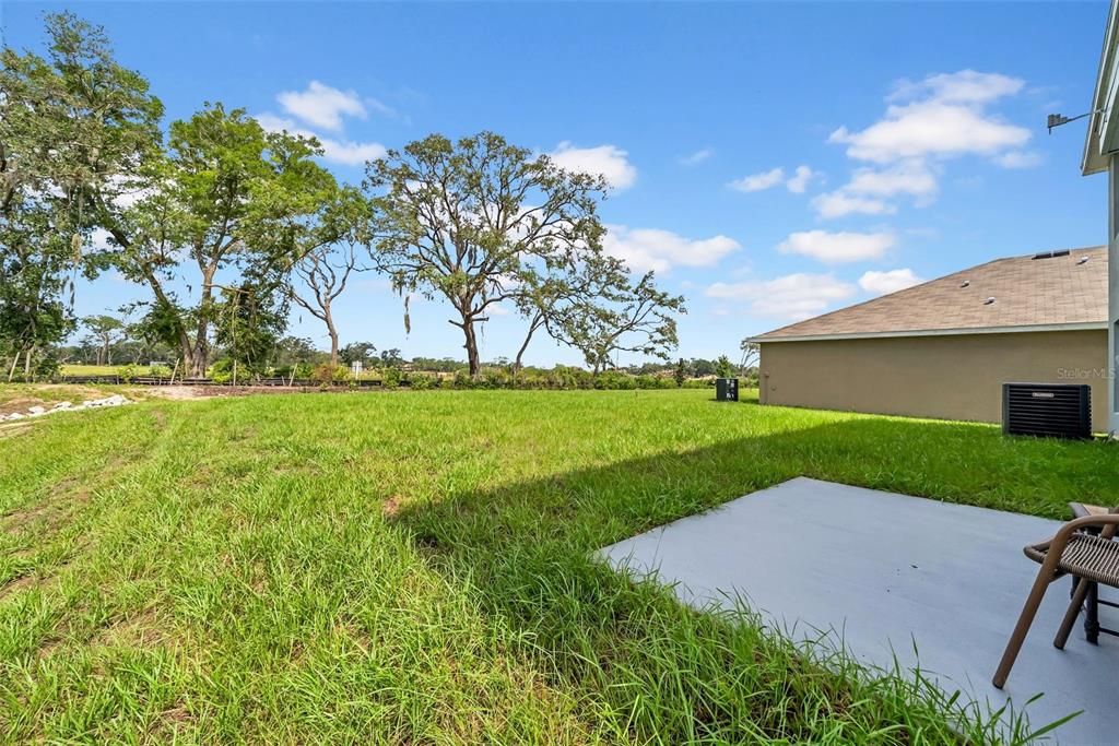 Backyard, Exterior